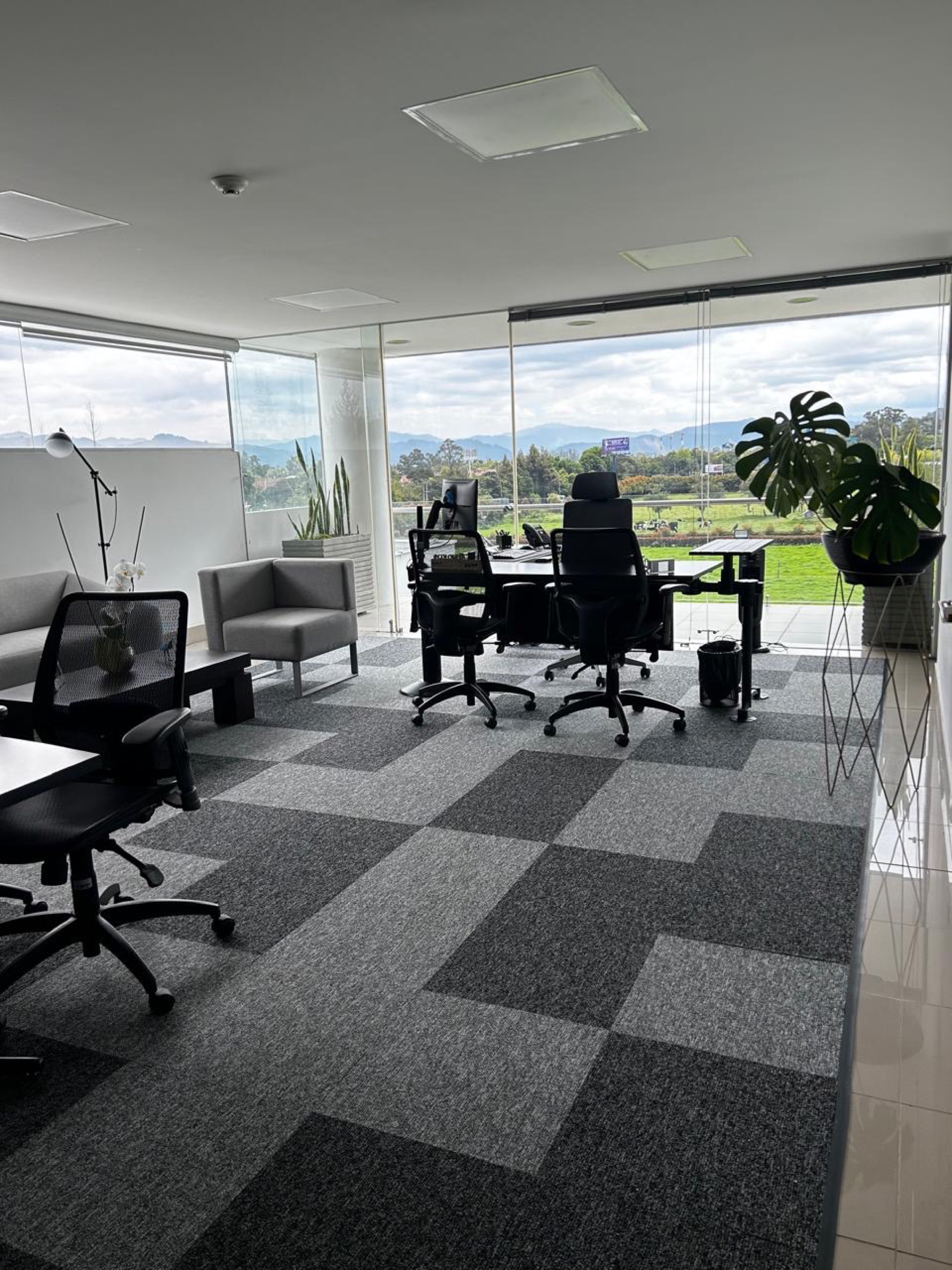 Alfombra modular Flow