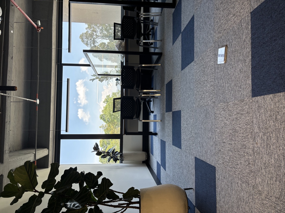 Oficina luminosa con alfombra modular azul y gris y plantas