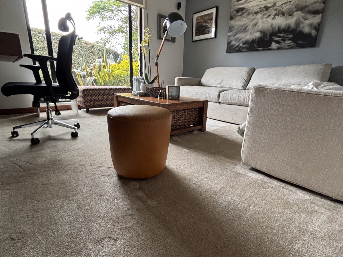 Sala de estar con alfombra en rollo Mirage, arte en pared y vista al jardín
